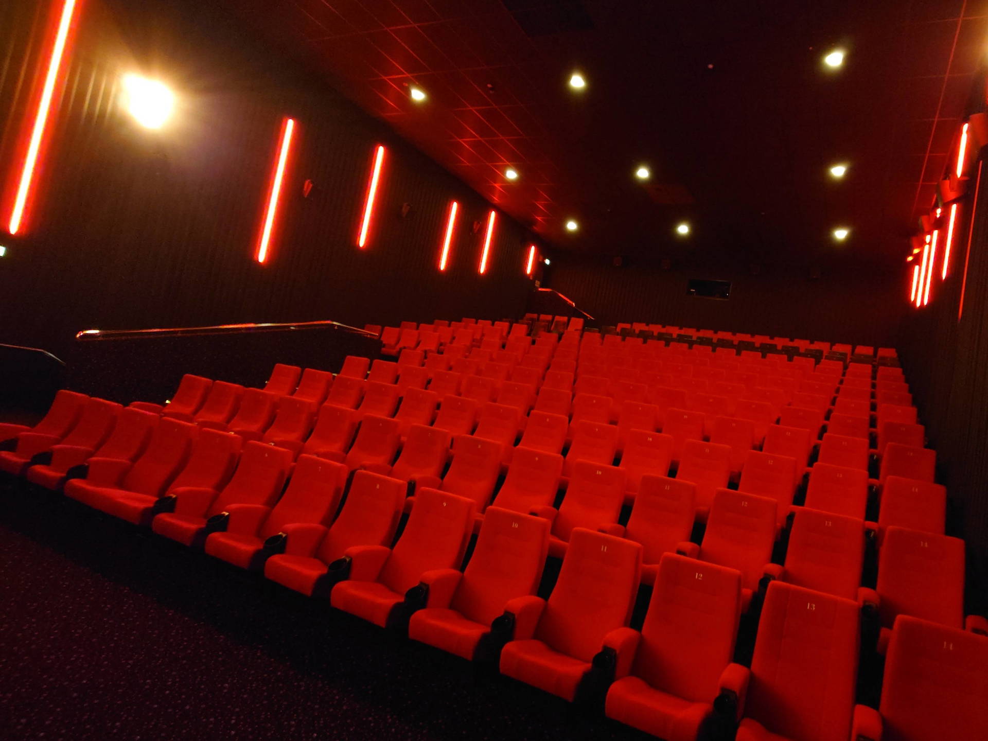 Kino 5