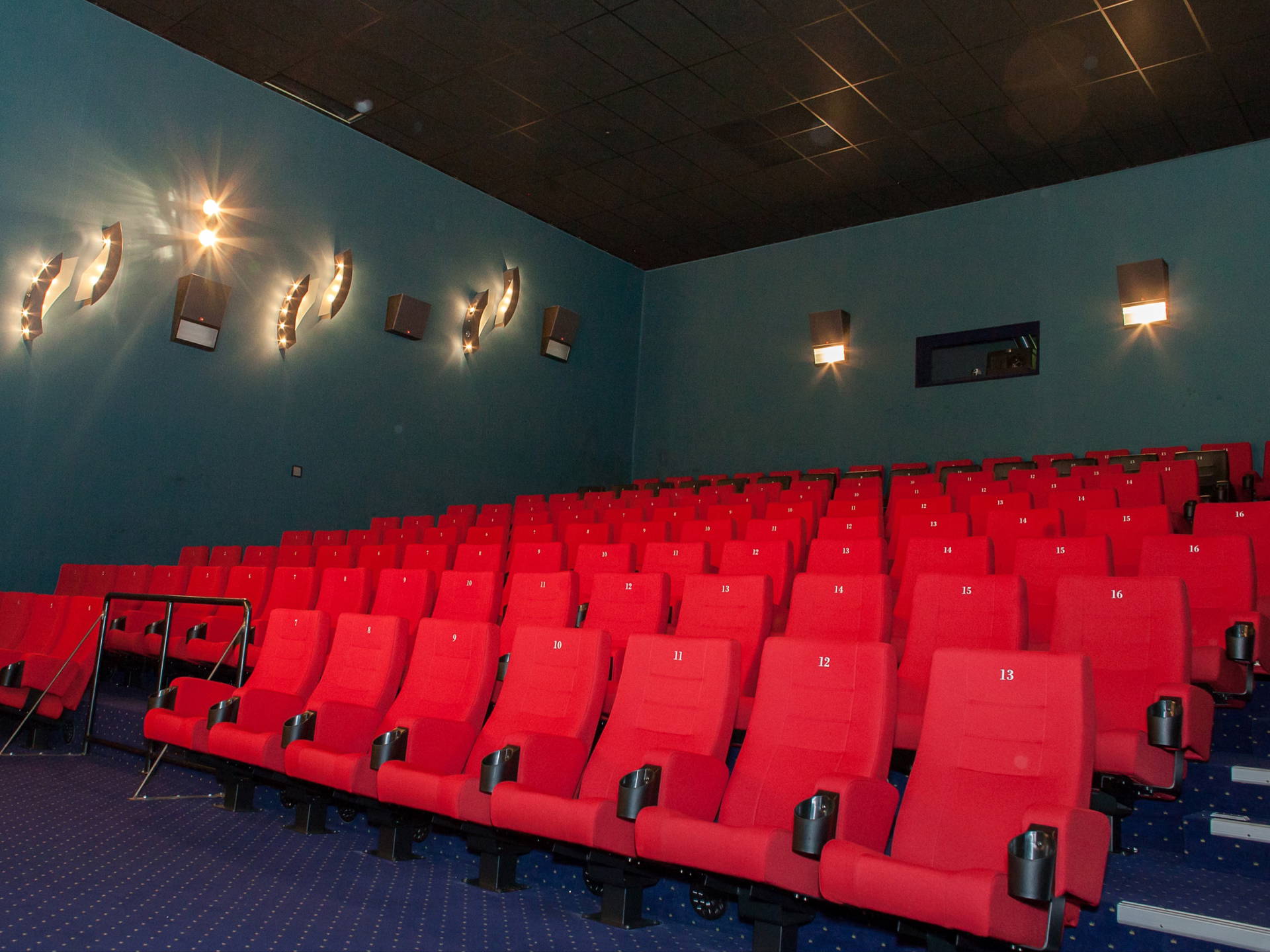 Kino 6